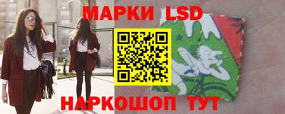 прущие грибы Будённовск