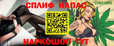 прущие грибы Будённовск